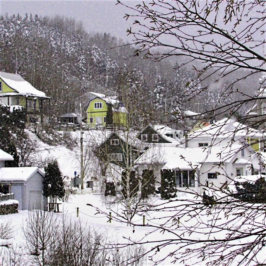 LʼAnse-Saint-JeanPanoramique Du Fjord公寓 外观 照片
